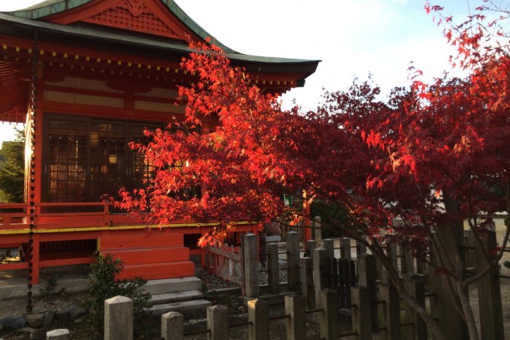 京都乃木神社