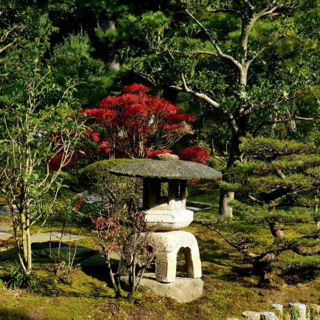 Autumn at Kenroku-en Autumn at Kenroku-en