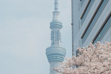 东京Skytree 东京Skytree