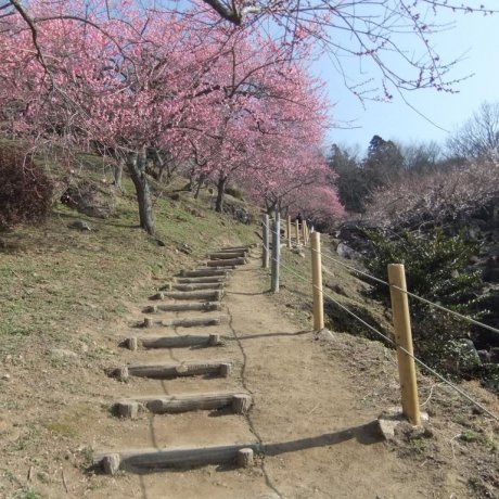 茨城筑波山之游 茨城筑波山之游