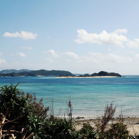 冲绳县 冲绳县