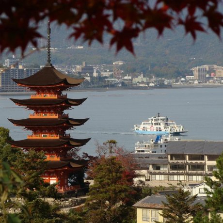 广岛 宫岛的秋天 广岛 宫岛的秋天