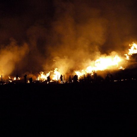 若草山烧山祭 若草山烧山祭