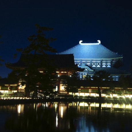 灯光映照奈良东大寺 灯光映照奈良东大寺