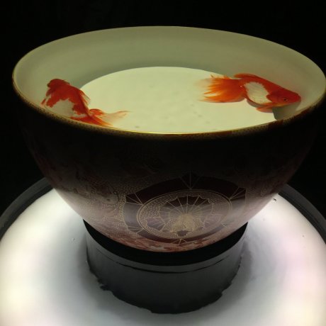 Art Aquarium 2018 Art Aquarium 2018