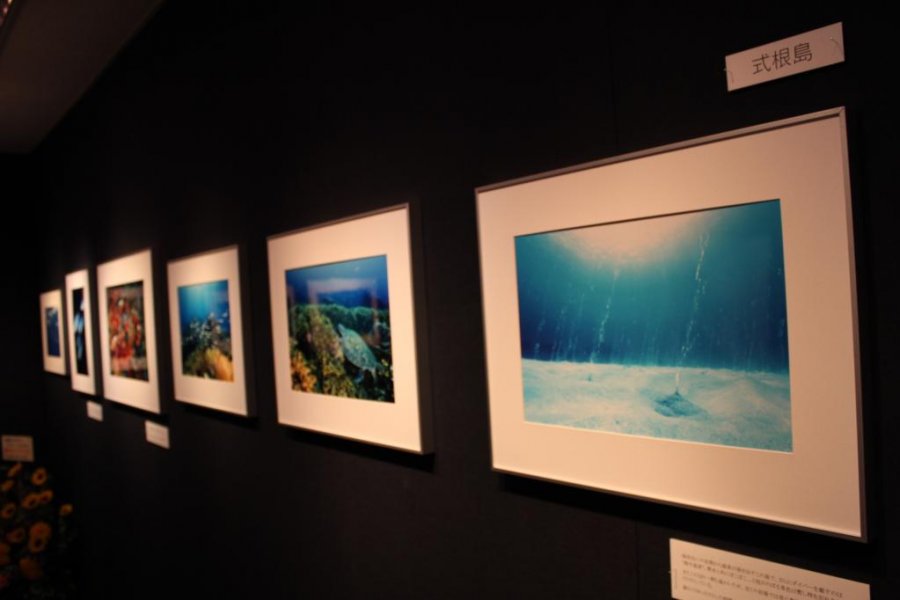 东京岛屿·海洋生物摄影展