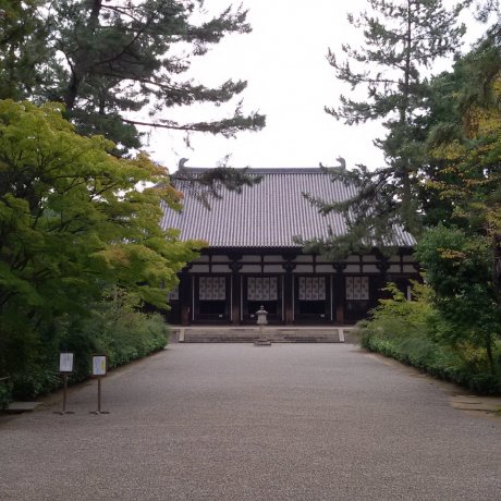 「天平之甍」 「天平之甍」