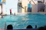 须磨水族馆